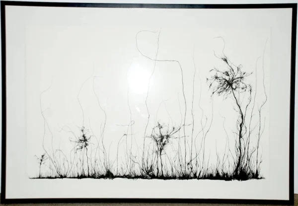 Untitled, 2009
